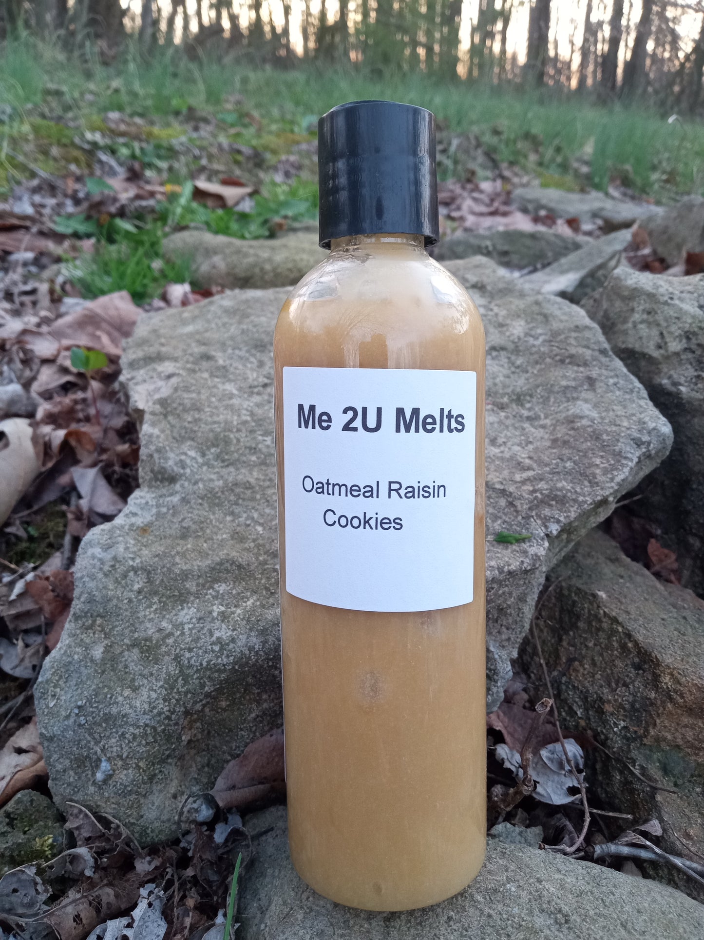 Oatmeal Raisin Cookies - Wax Melt - Squeeze Wax
