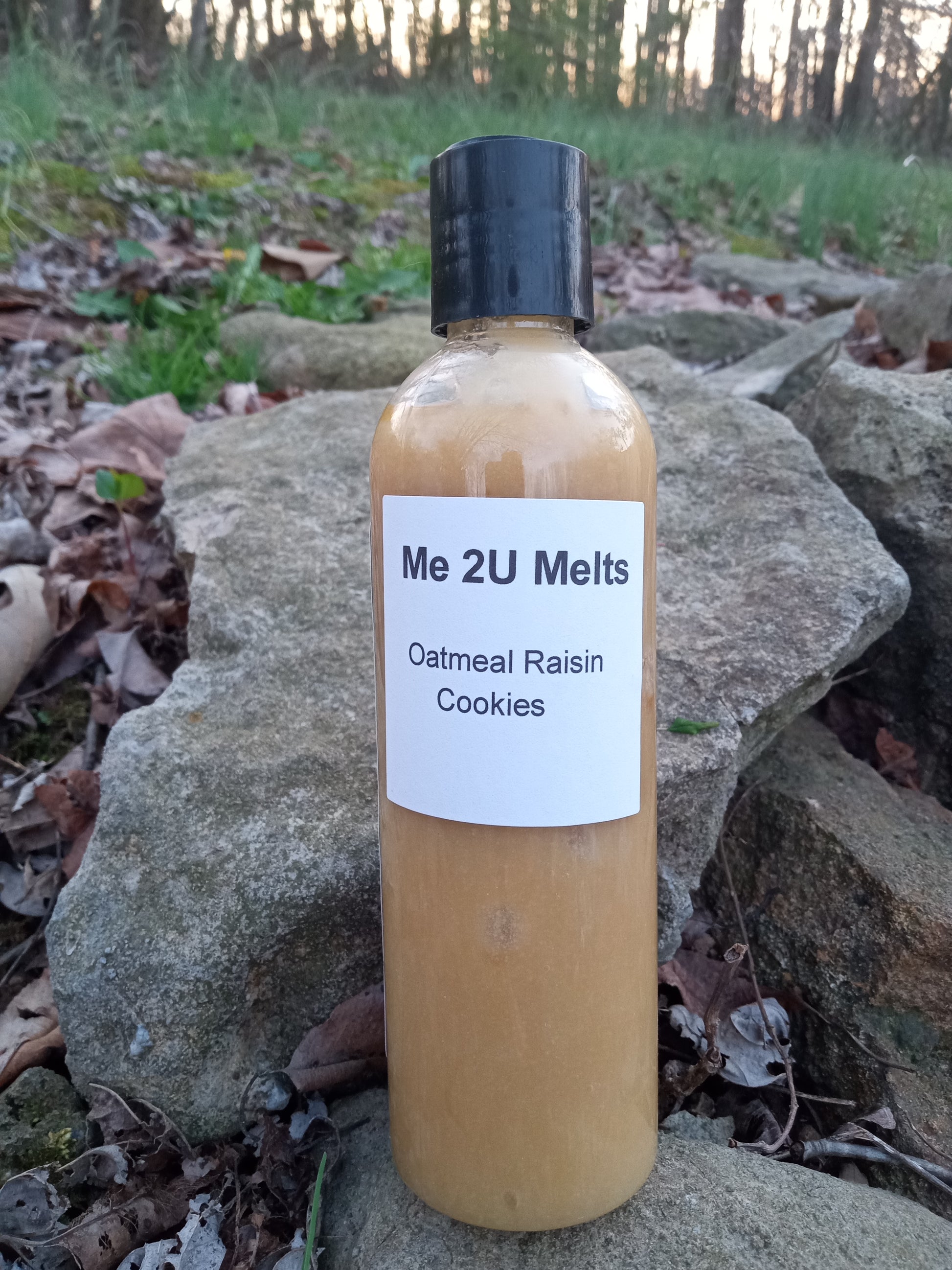 Oatmeal Raisin Cookies - Wax Melt - Squeeze Wax